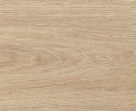 Керамогранит 100339736 Tanzania Almond 23х150