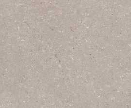 Керамогранит 100330179 Coral Topo L 120x120