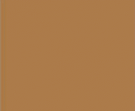 Плитка Marron Mate 20x20