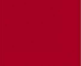 Плитка Rojo Volcan g.148 20x20