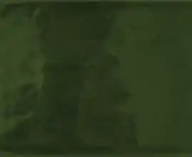 Плитка Atmosphere Olive 12.5x25