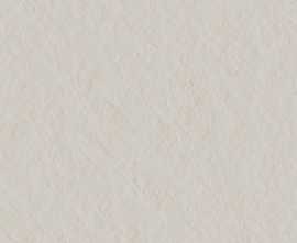Керамогранит 4101001 Superclassica SCB Flamed R10 60x120