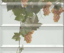 Плитка Panno Moscatel Blanco 40x30