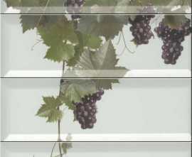 Плитка Panno Tempranillo Blanco 40x30