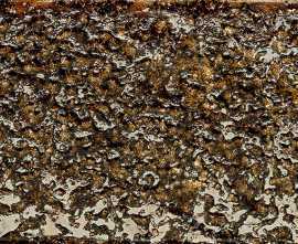 Плитка D-Goldgreen MIX 22x7.2