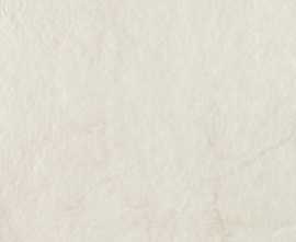 Керамогранит P-Organic Matt white STR 59,8x59,8