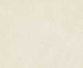 Плитка 4YWH Manhattan-R Light 45x120