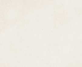 Плитка 508061201 Sonnet Latte 20,1х50,5