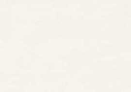 Плитка R0000973 SILKEN WHITE 25x75