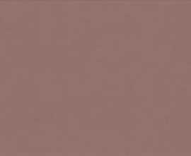 Плитка PF60008237 Paprika Ret 60x120