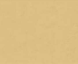 Плитка PF60008231 Ginger Ret 60x120