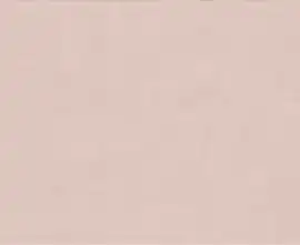 Плитка PF60008235 Powder Ret 60x120