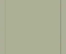 Плитка 00NEO12590R Neo Salvia 50x120