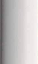 Плитка 4101077 Italic Dune Bianco Lux 5x20