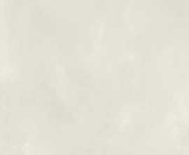 Керамогранит fOTV Color Now Bianco Silk 120x278