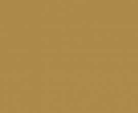 Плитка 00-00-5-18-01-23-2430 Mono mustard 30х60