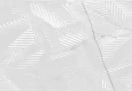 Плитка Vivid White Calacatta Floret 29.75x99.55