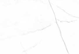 Плитка Vivid White Calacatta 29.75x99.55
