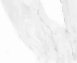 Плитка Calacatta White Rett 25x75