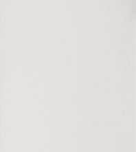 Плитка EG3310 NEW ENGLAND BIANCO 33x100