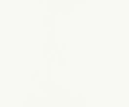 Плитка Pure City Bianco Rekt 29.8x89.8