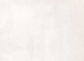 Плитка Leeds Blanco rect. 30x90