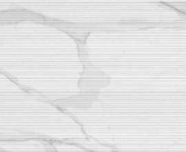 Плитка fPQ3 Roma 50 Filo Statuario 50x120