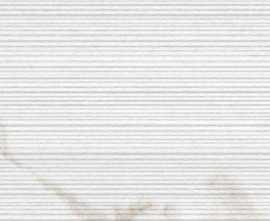 Плитка fLST Roma Filo Calacatta 25x75