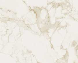 Керамогранит fOWR Roma Calacatta Silk 120x278