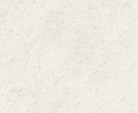 Керамогранит fOV2 Roma Carrara Silk 120x278