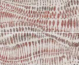 Плитка R0002824 Strata Decor Beige (Set 2 Pzs) Rect 60x90
