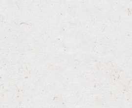 Плитка R0002307 Botanical Lino Rect. 30x90