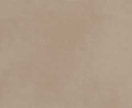 Плитка fQAS Milano Mood Biscotto RT 50x120