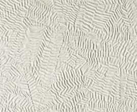 Плитка fRFM Bloom Star White 80x160