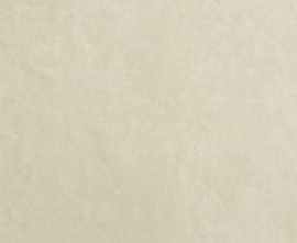 Плитка fOXC Bloom Beige 80x160