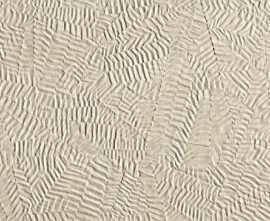 Плитка fOXK Bloom Star Beige 80x160