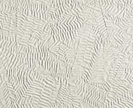 Плитка fOXM Bloom Star White 80x160