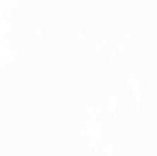 Плитка 12-00-4-29-04-00-2563 Magic White 5,85x24