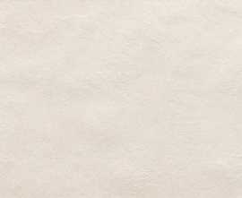 Плитка fRFF Sheer White 25х75