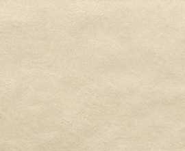 Плитка fRFE Sheer Beige 25х75