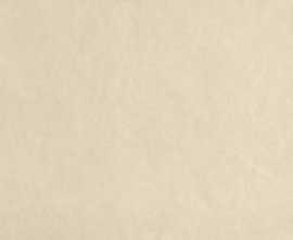 Плитка fPA5 Sheer Beige 80x160