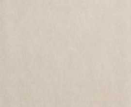 Керамогранит fPB9 Sheer Grey Matt R10 60x60
