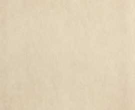 Керамогранит fPB8 Sheer Beige Matt R10 60x60