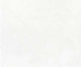 Плитка PL18 Bianco 20x20