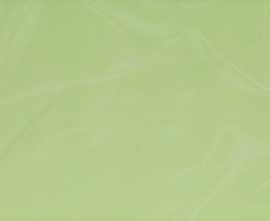 Плитка BG41 Verde Scuro 20*50