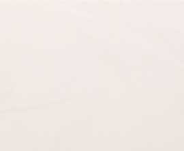 Плитка BG18 Bianco 20*50