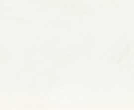 Плитка SO 18/Bianco 20*50