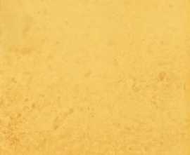 Плитка CM23 Giallo 20х20