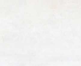 Плитка R0001974 Universe Beige 30x90