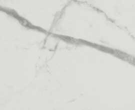 Плитка fQCS Roma Gold Carrara Superiore Brillante 50х120